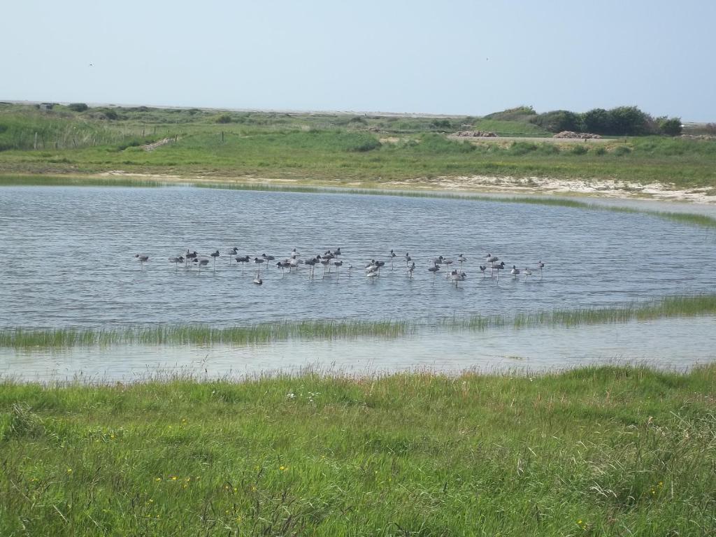Camping Paradis Les Galets De La Molliere Cayeux-sur-Mer Exteriér fotografie